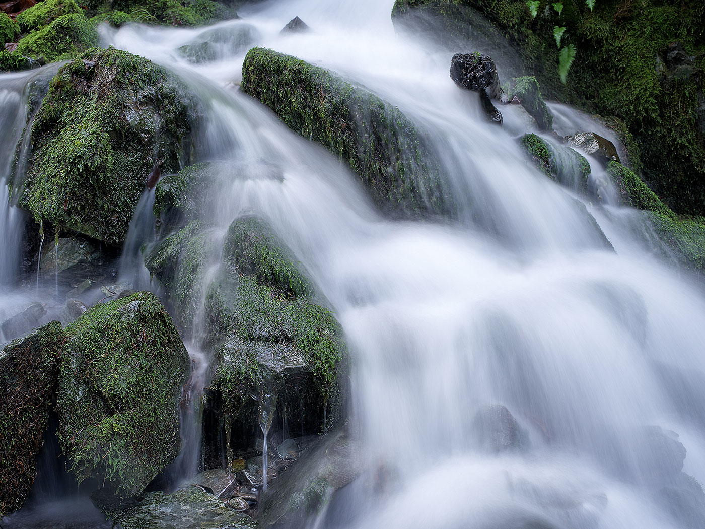 Hike the mountain trails on Salt Spring Island